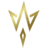 CAM logo